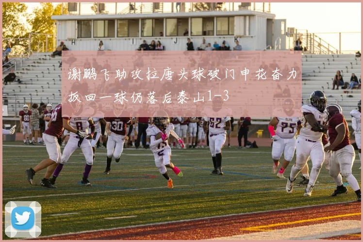 谢鹏飞助攻拉唐头球破门申花奋力扳回一球仍落后泰山1-3