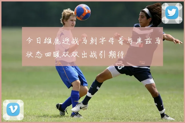 今日雄鹿迎战马刺字母哥与库兹马状态回暖双双出战引期待