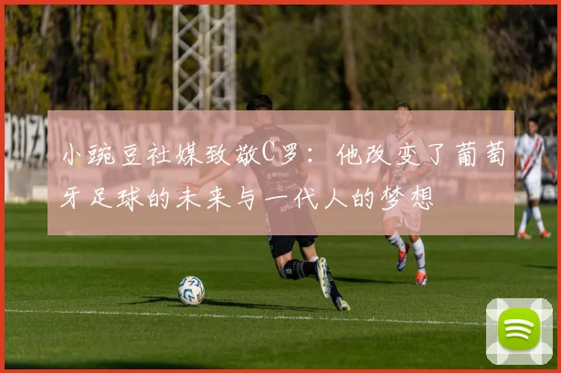 小豌豆社媒致敬C罗：他改变了葡萄牙足球的未来与一代人的梦想