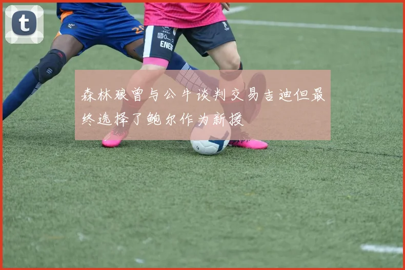 森林狼曾与公牛谈判交易吉迪但最终选择了鲍尔作为新援