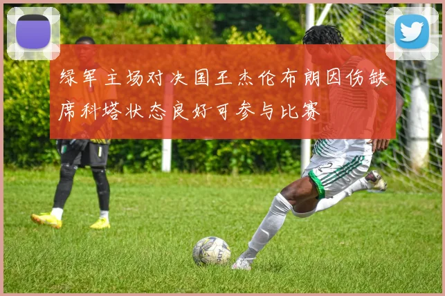 绿军主场对决国王杰伦布朗因伤缺席科塔状态良好可参与比赛